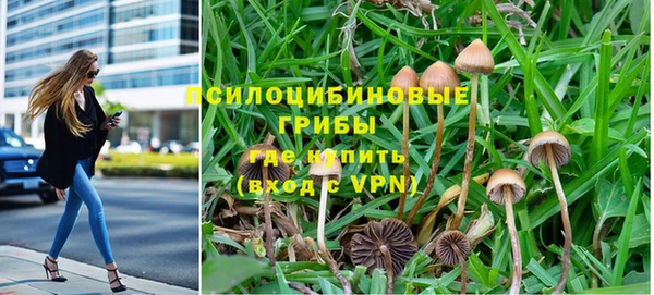 apvp Баксан
