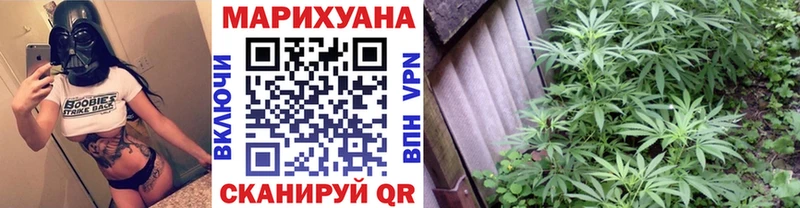 Марихуана SATIVA & INDICA как найти наркотики Сегежа
